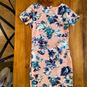 NEW with tags: Pinkblush Maternity Dress, Small